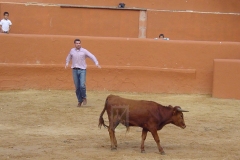 Capea 2005
