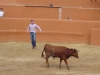 dsc00601